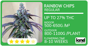 Understanding Marijuana Seeds South Dakota A Complete Guide Understanding Marijuana Seeds South Dakota A Complete Guide